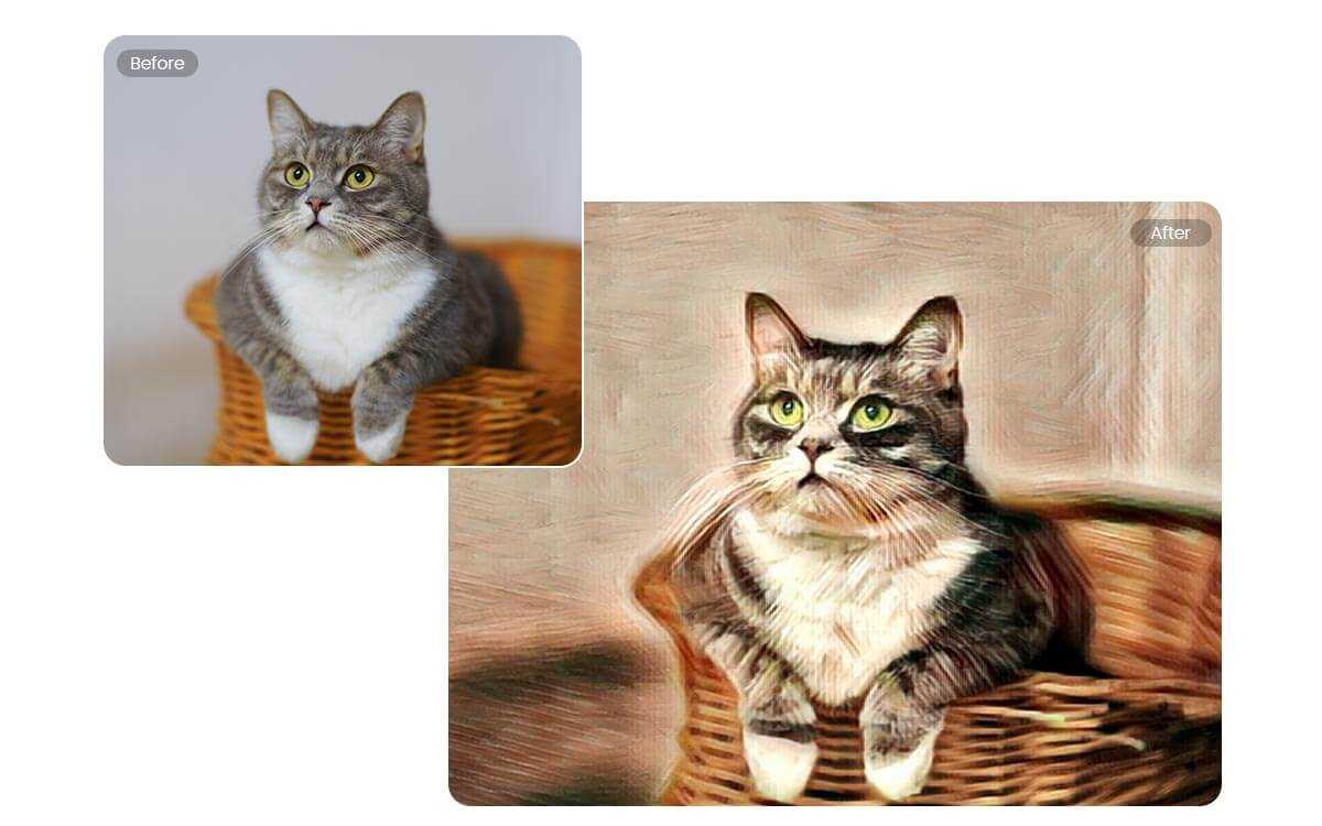 cartoon cat image