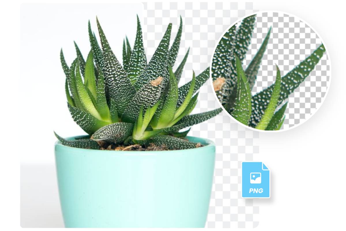 Create transparent PNG without losing quality using Fotor's PNG creator