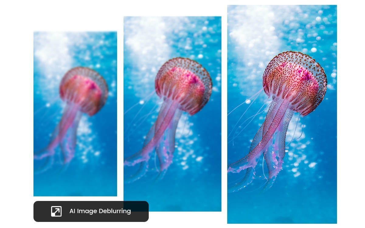 Elimina el desenfoque de una imagen en tiempo real con el desenfoque de imagen AI de Fotor
