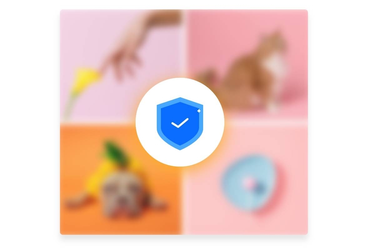 Konverter Fotor JPG menjamin keamanan dan privasi gambar Anda