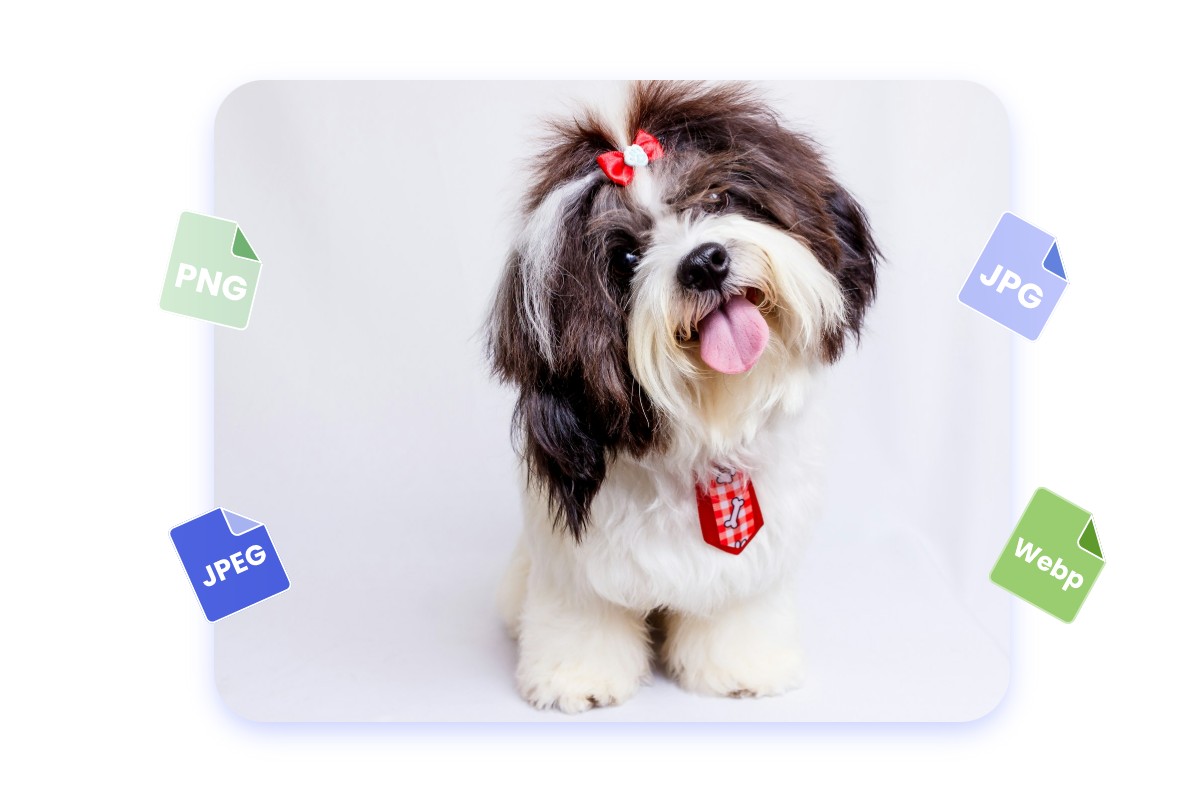 Fotor image compressor to 1mb supports to convert a dog image in jpg png jpeg webp and other formats
