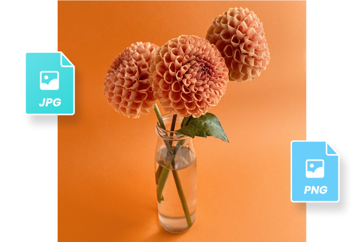Jarrón con tres flores naranjas y dos formatos de fotos