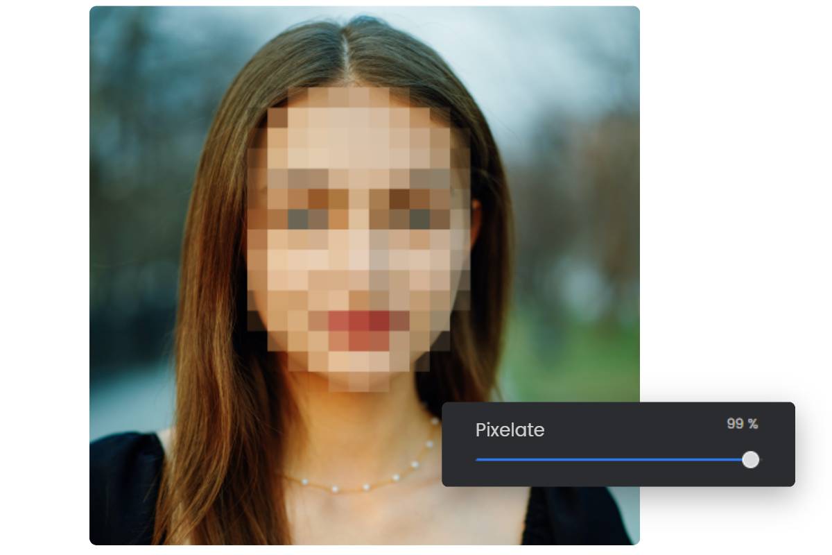 Pixelate photo to create censored image using Fotor's image censor tool