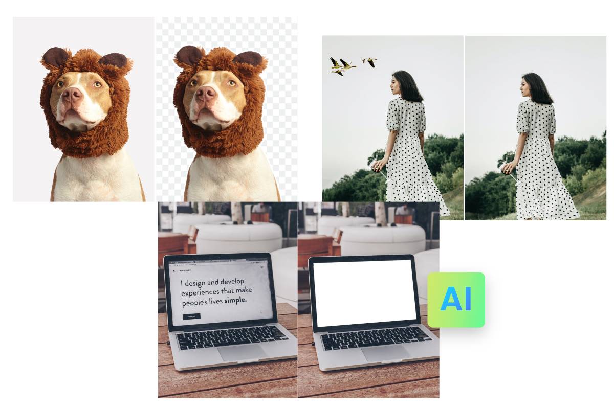 Remove backgrounds, remove unwanted objects, and remove text from photo using Fotor AI