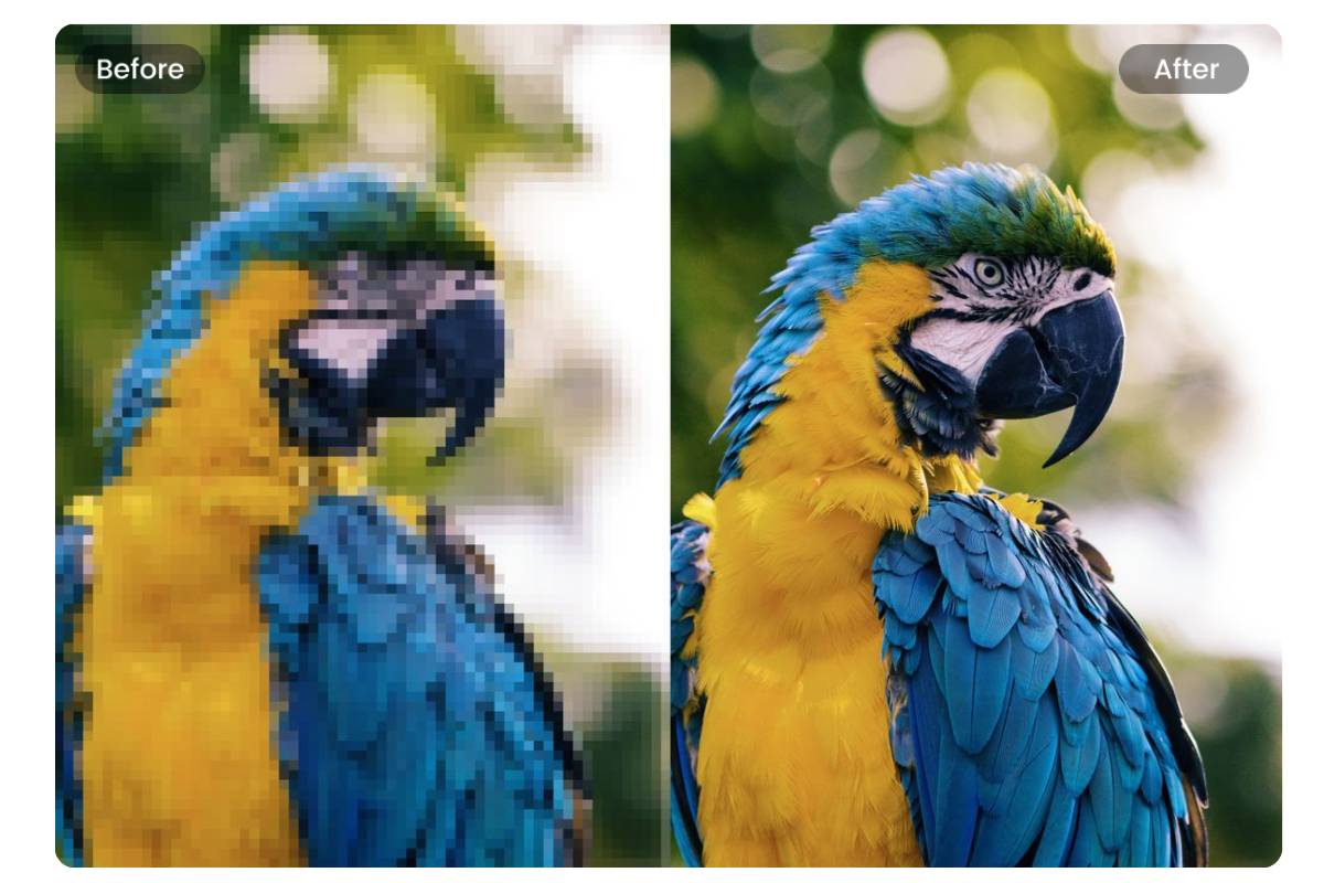 Fotorで鳥の写真からモザイク除去をします