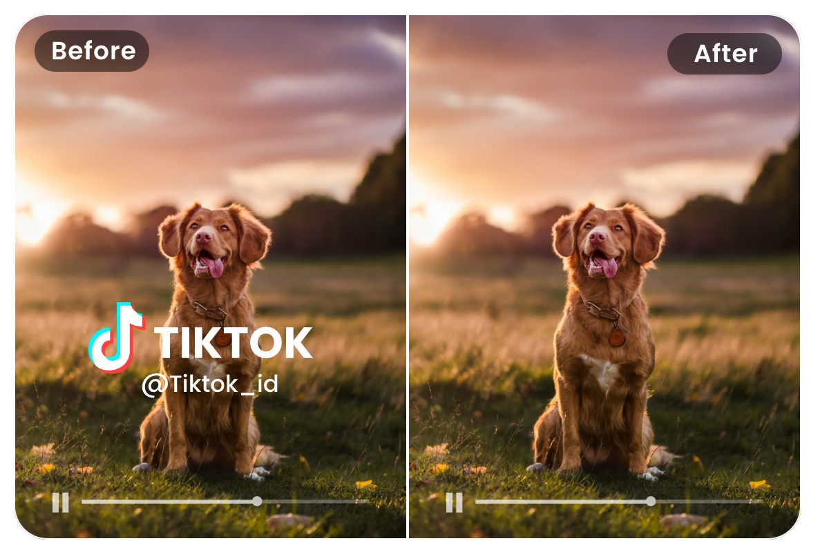 Remove the watermark from the puppy video