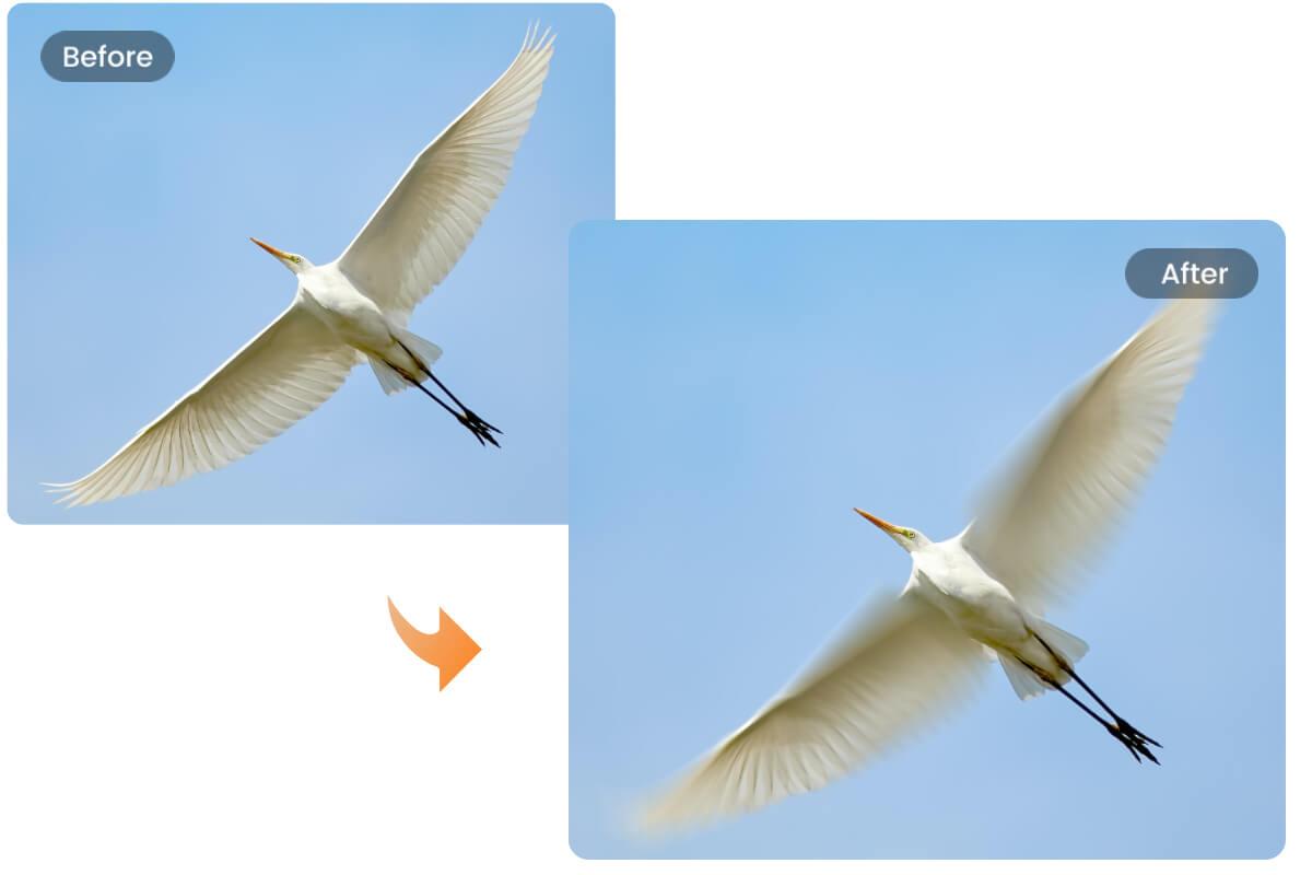 Agregar efecto motion blur a una foto de pájaro