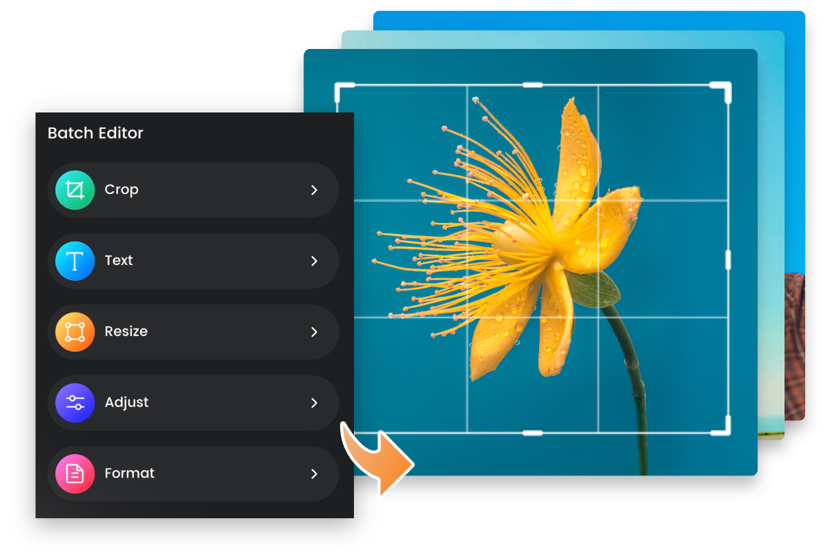 Batch tools of fotor
