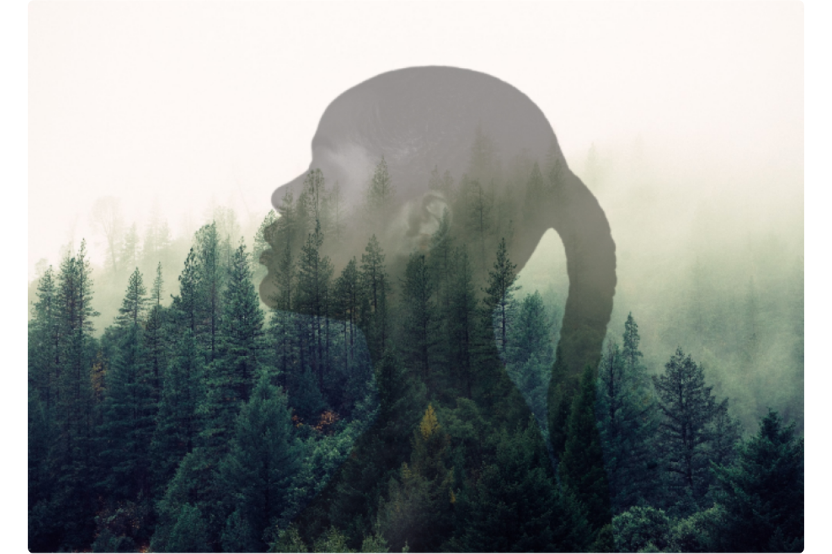 blend female and forest together