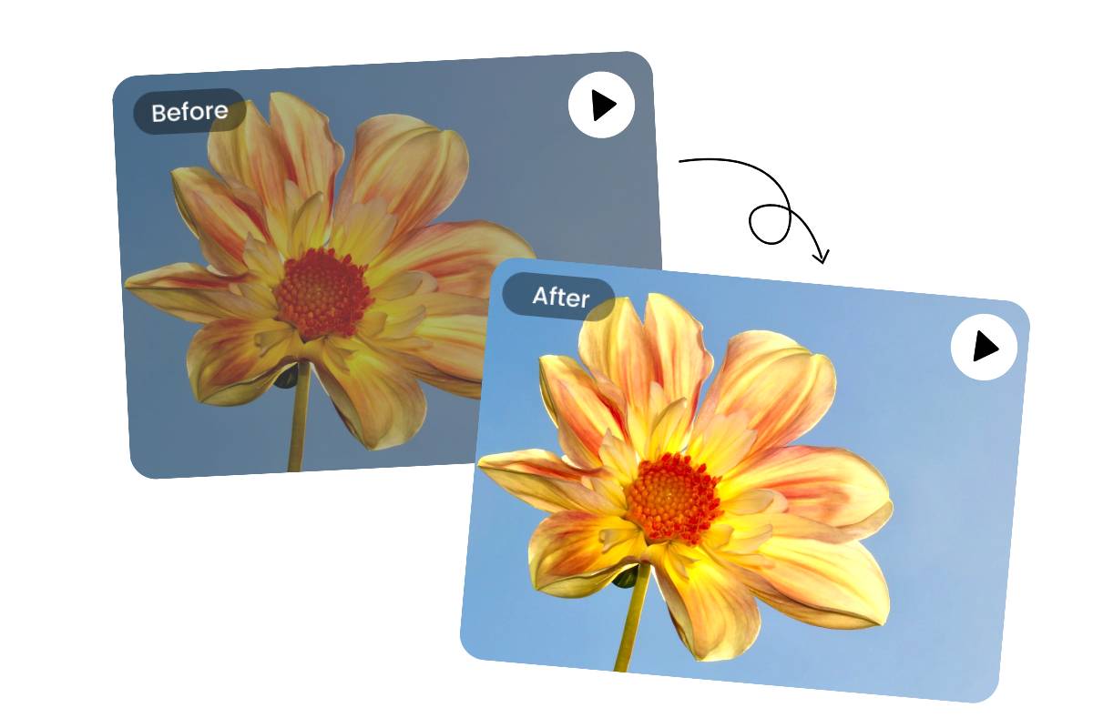 Brighten a flower image in a video using fotor video brightener