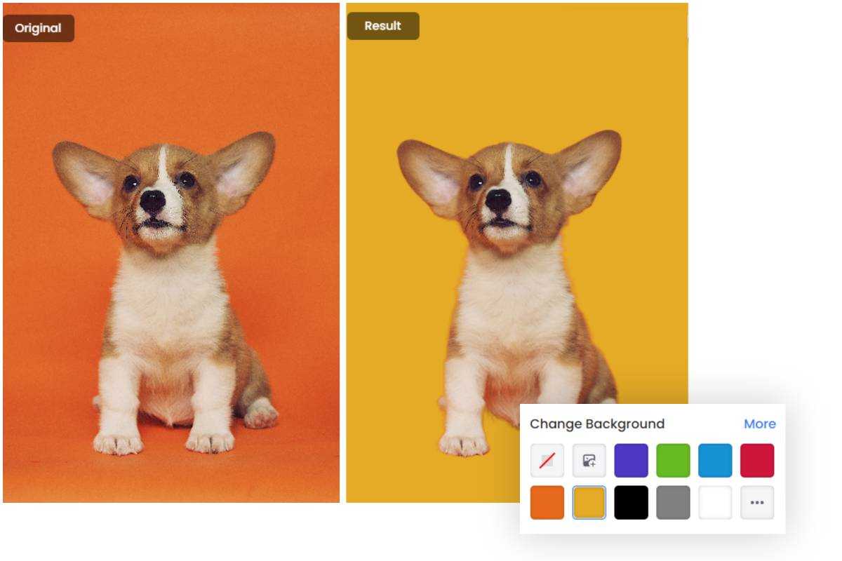 Change the Corgi puppy color and a color box