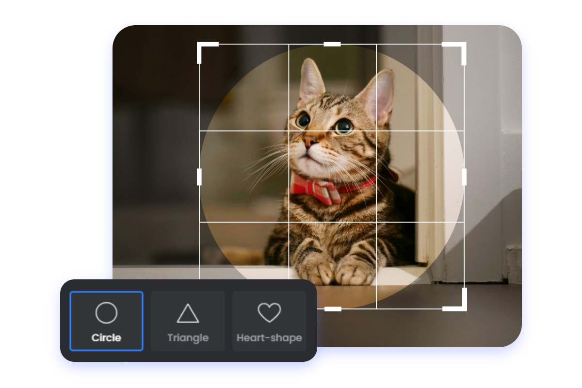 Choose the circular shape option and crop a picture of a kitten into a circle