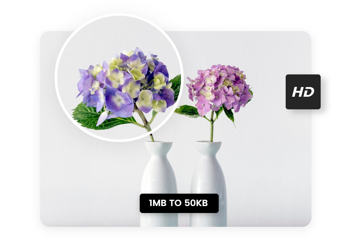 Convert a 1mb purple flower image to 50kb in fotor mb to kb converter