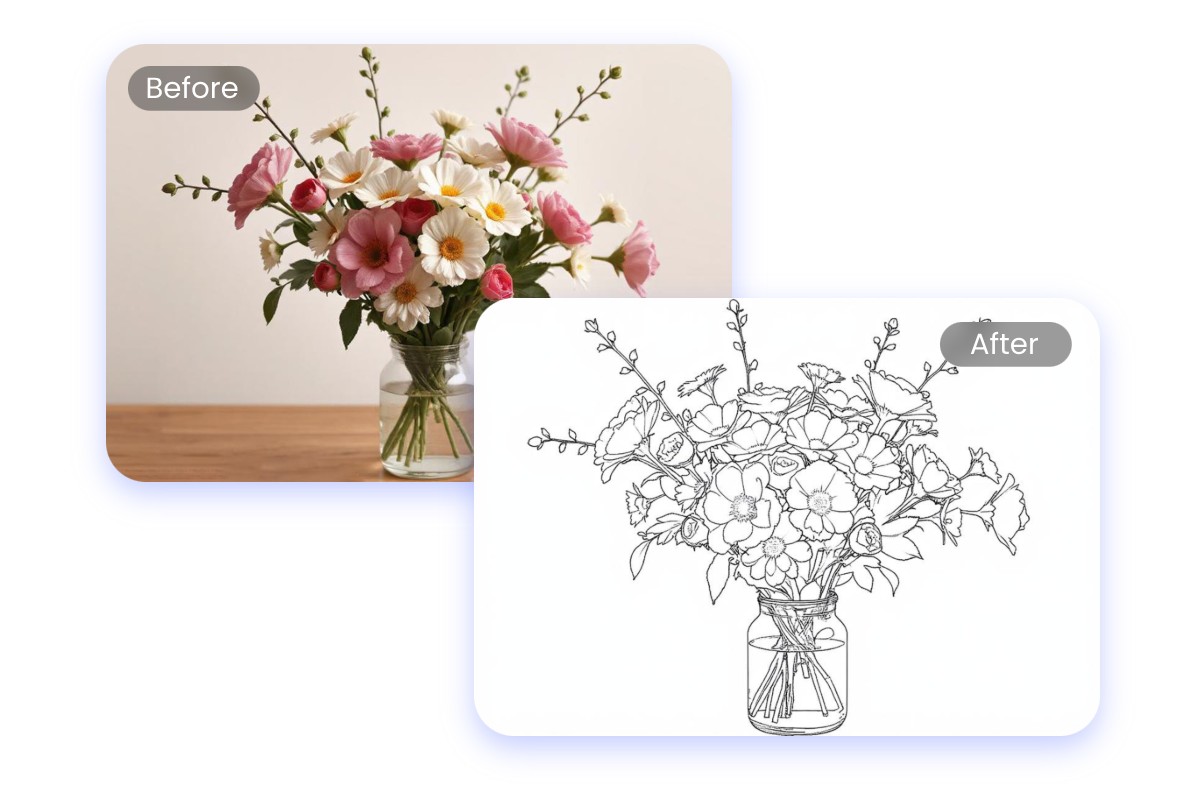 Convert still life picture into line drawing