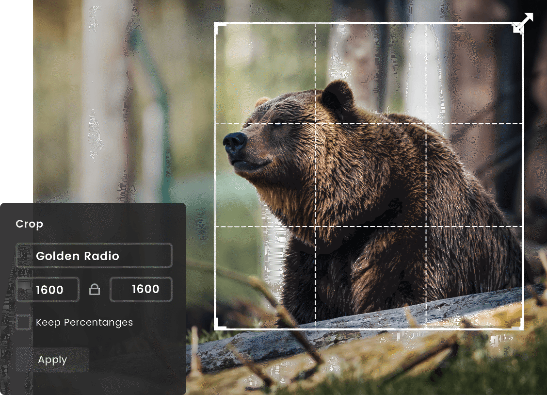 Crop photos without stretching with Fotor
