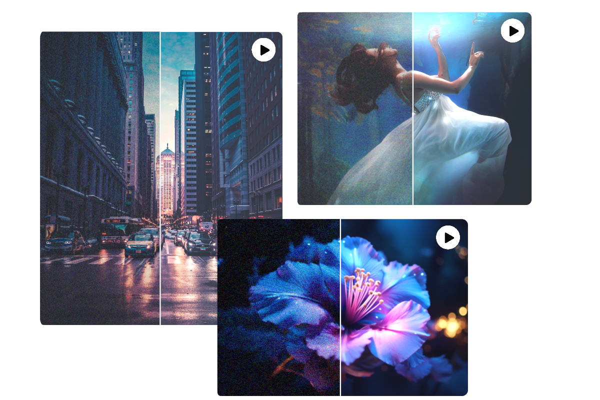 Denoise three grainy videos of different types in fotor ai video denoiser