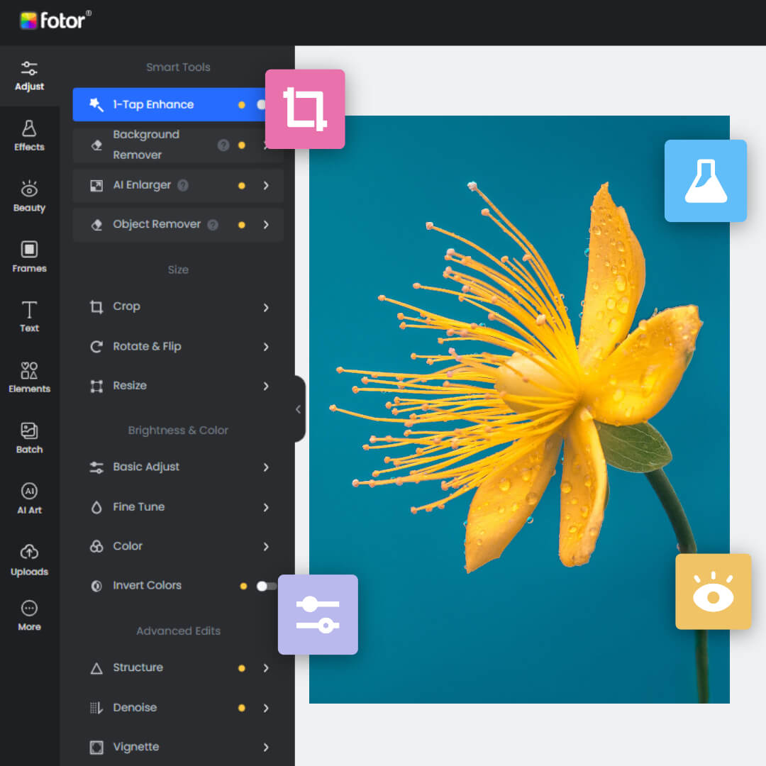 Edit a yellow flower image in Fotor photo editor