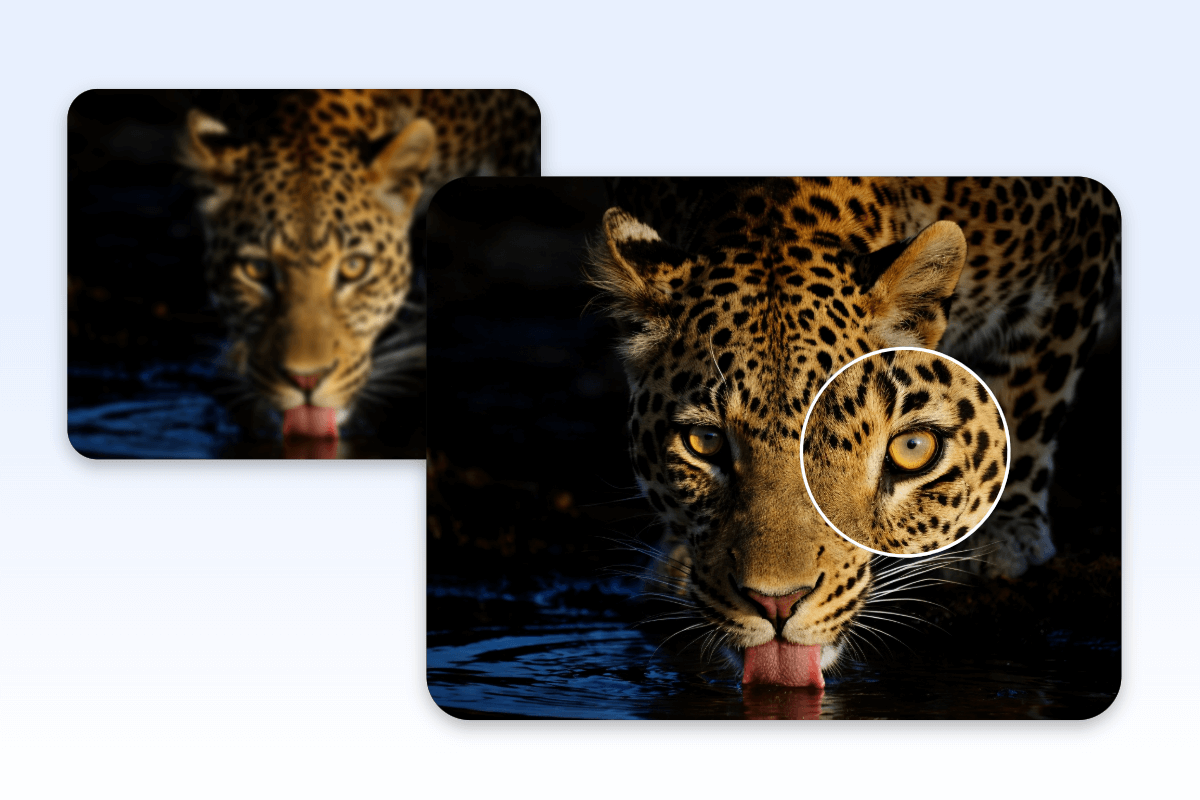 Enhance photography with ai filters and details