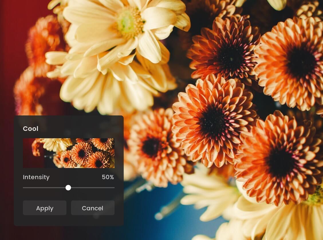 Features Funky Photo Effects sideimage c