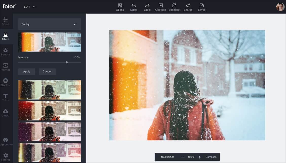 Features Funky Photo Effects sideimage d
