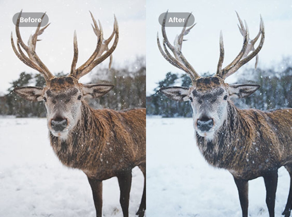 Features Photo Effects sideimage b