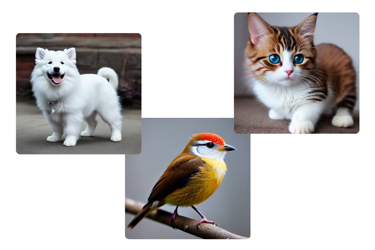 Generar gatos, perros y pájaros con el generador de animales aleatorios de Fotor