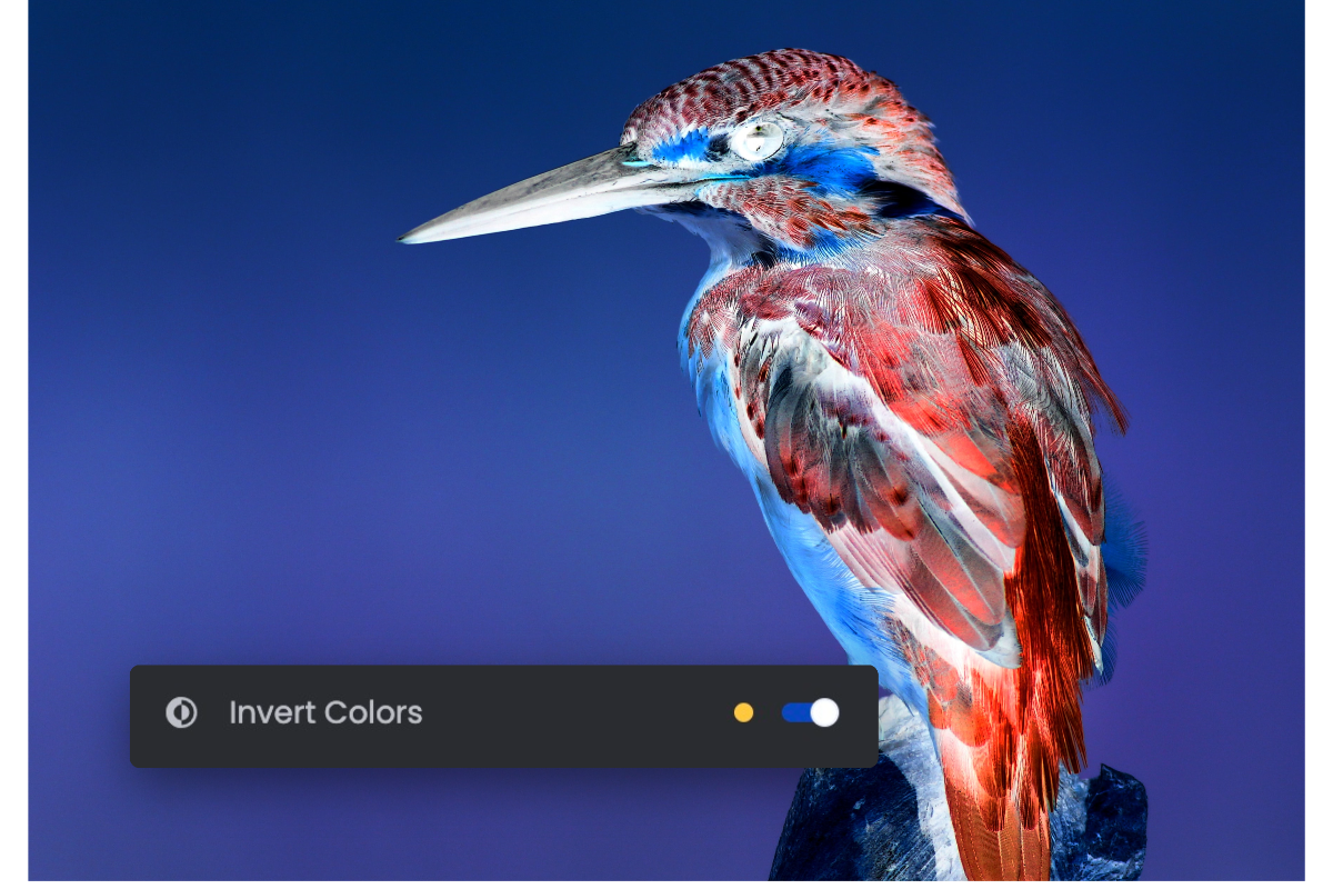 Invertieren eines Vogelbildes in einen nagetiven Effekt mit Invert-Box