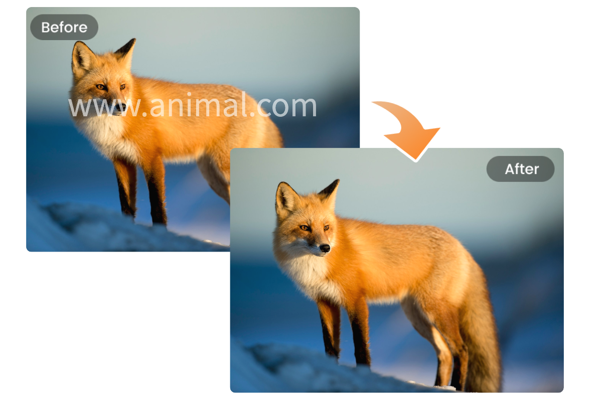 Remove watermark from purchased a stock photo
