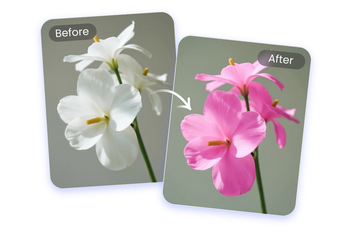 Switch the white flowers in the image to pink