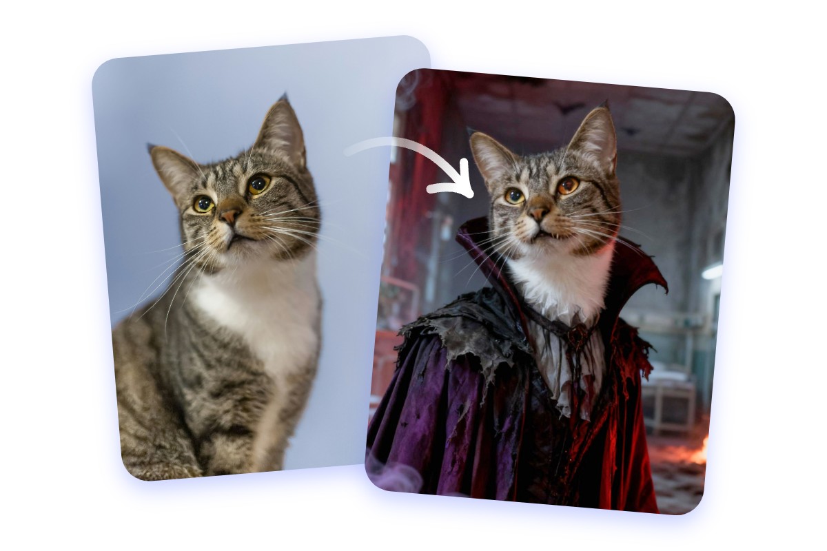 Turn a cat into a dark vampire in cape with fotor vampire filter