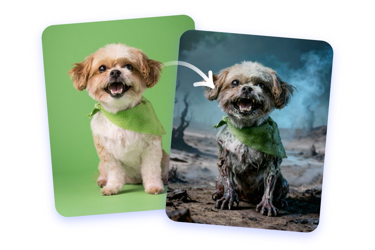 Turn your pet picture into a zombie