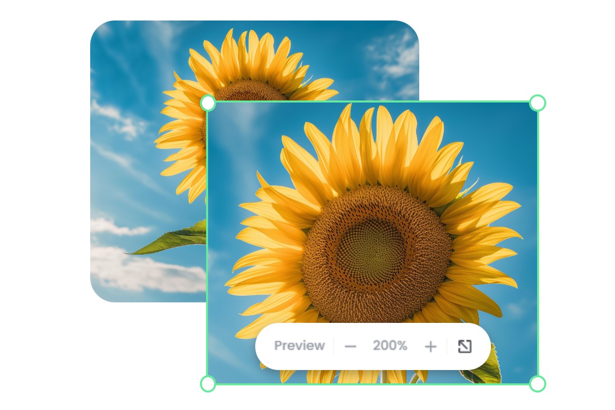 Zoomer sur une photo de tournesol jusqu’à 200 % avec le zoomeur d’image en ligne de Fotor
